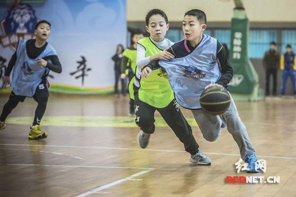 为什么智慧体育能帮助篮球教练更好地指导球员_2